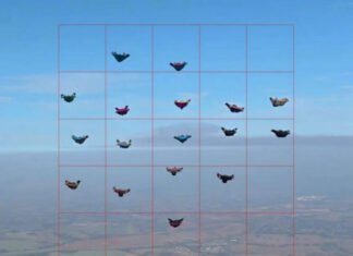 Boituva entra para a história com o recorde mundial de Wingsuit – DJ SOUND